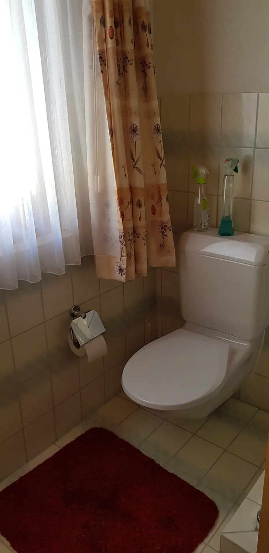 Airolo_5-5_PM-bagno 3