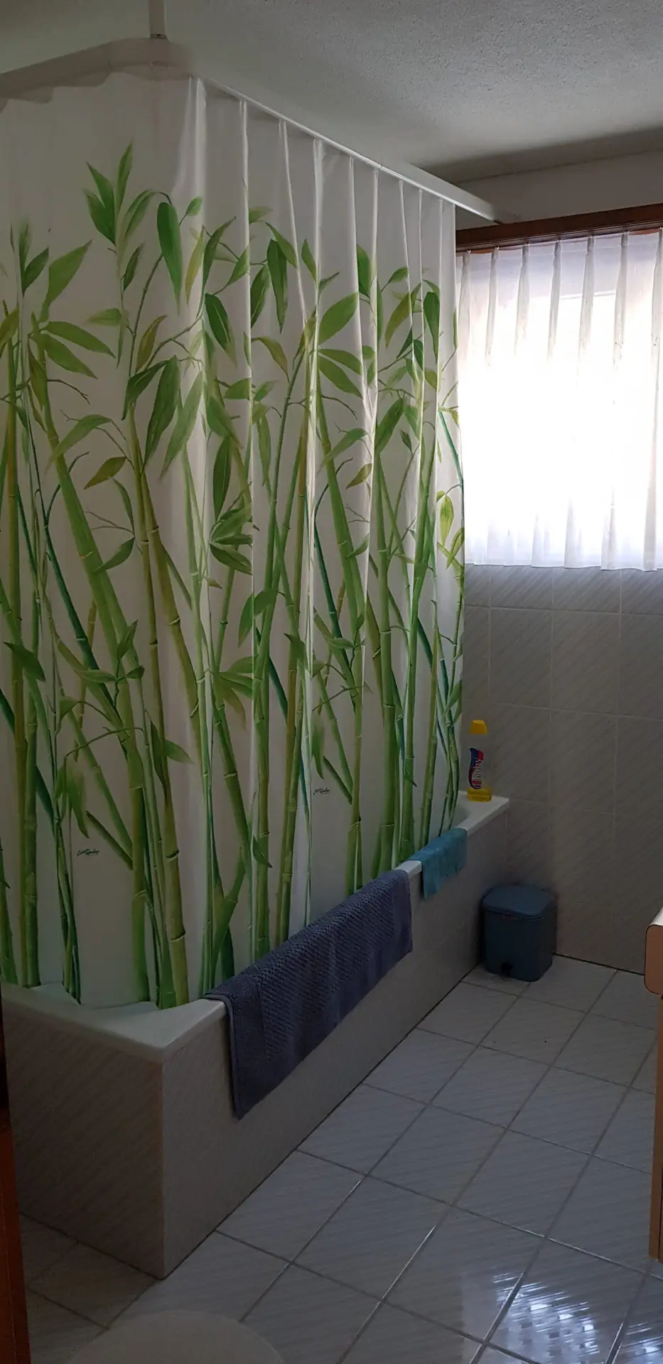 Airolo_5-5_PT-bagno 1